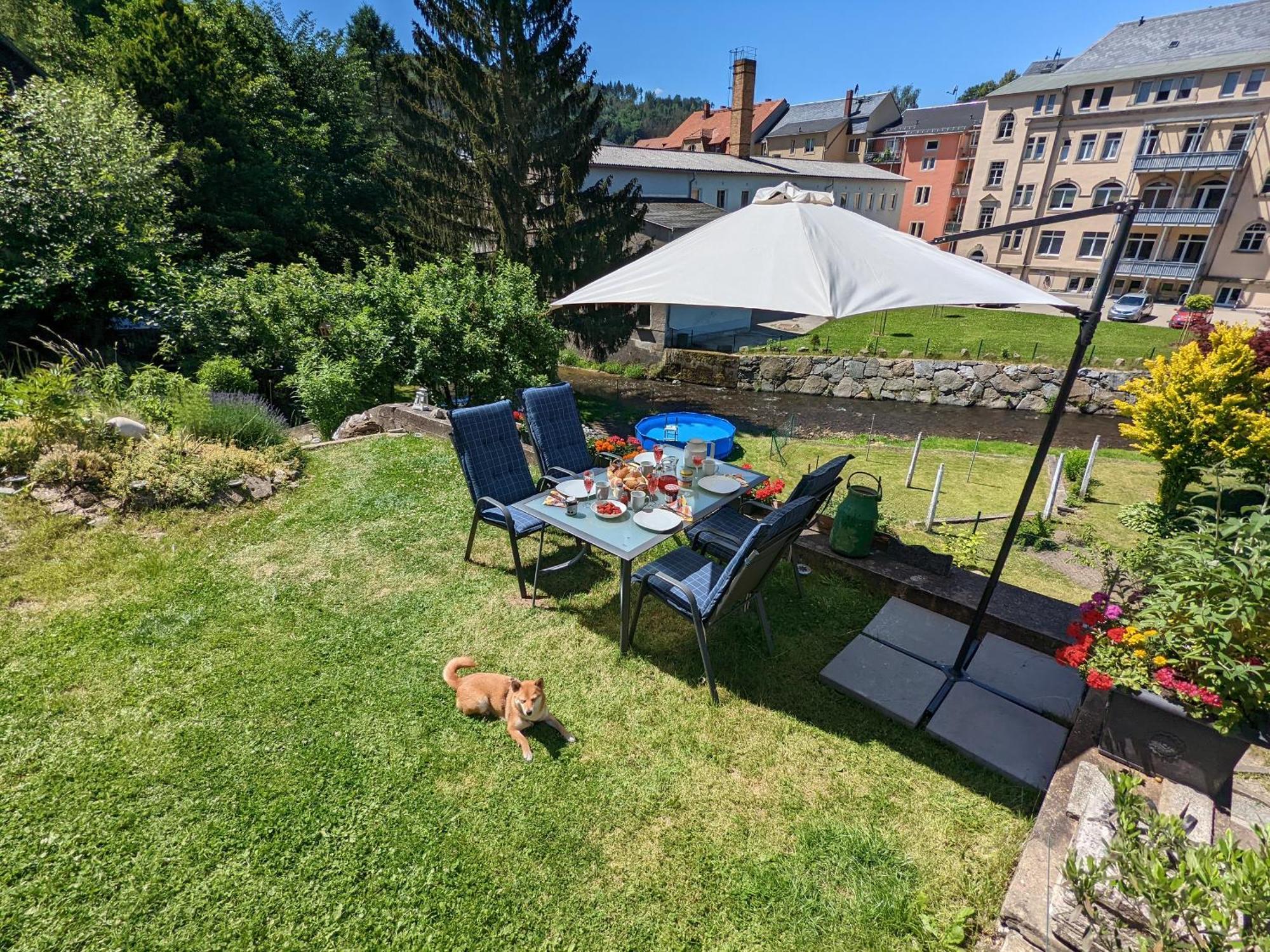 Zi1 - Urlaubsmagie - Erholung Mit Whirlpool & Sauna Sebnitz Esterno foto