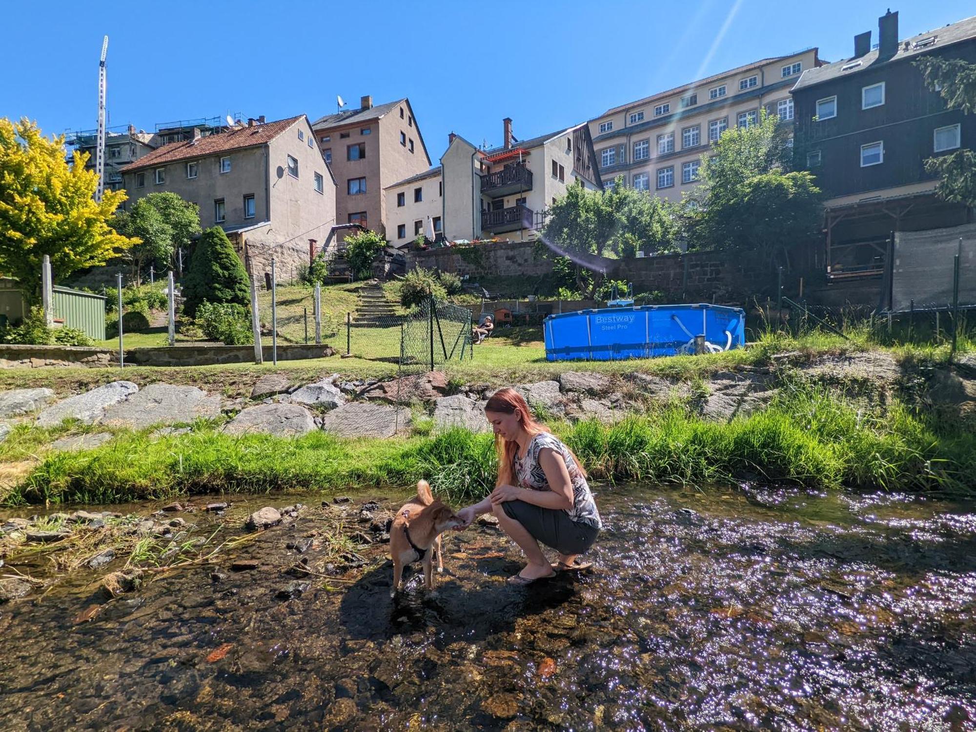 Zi1 - Urlaubsmagie - Erholung Mit Whirlpool & Sauna Sebnitz Esterno foto