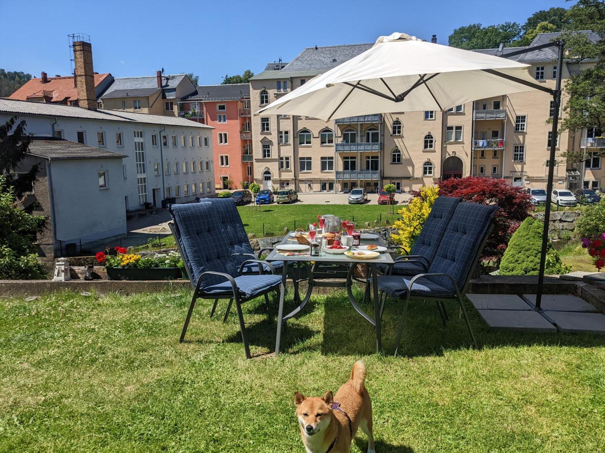 Zi1 - Urlaubsmagie - Erholung Mit Whirlpool & Sauna Sebnitz Esterno foto