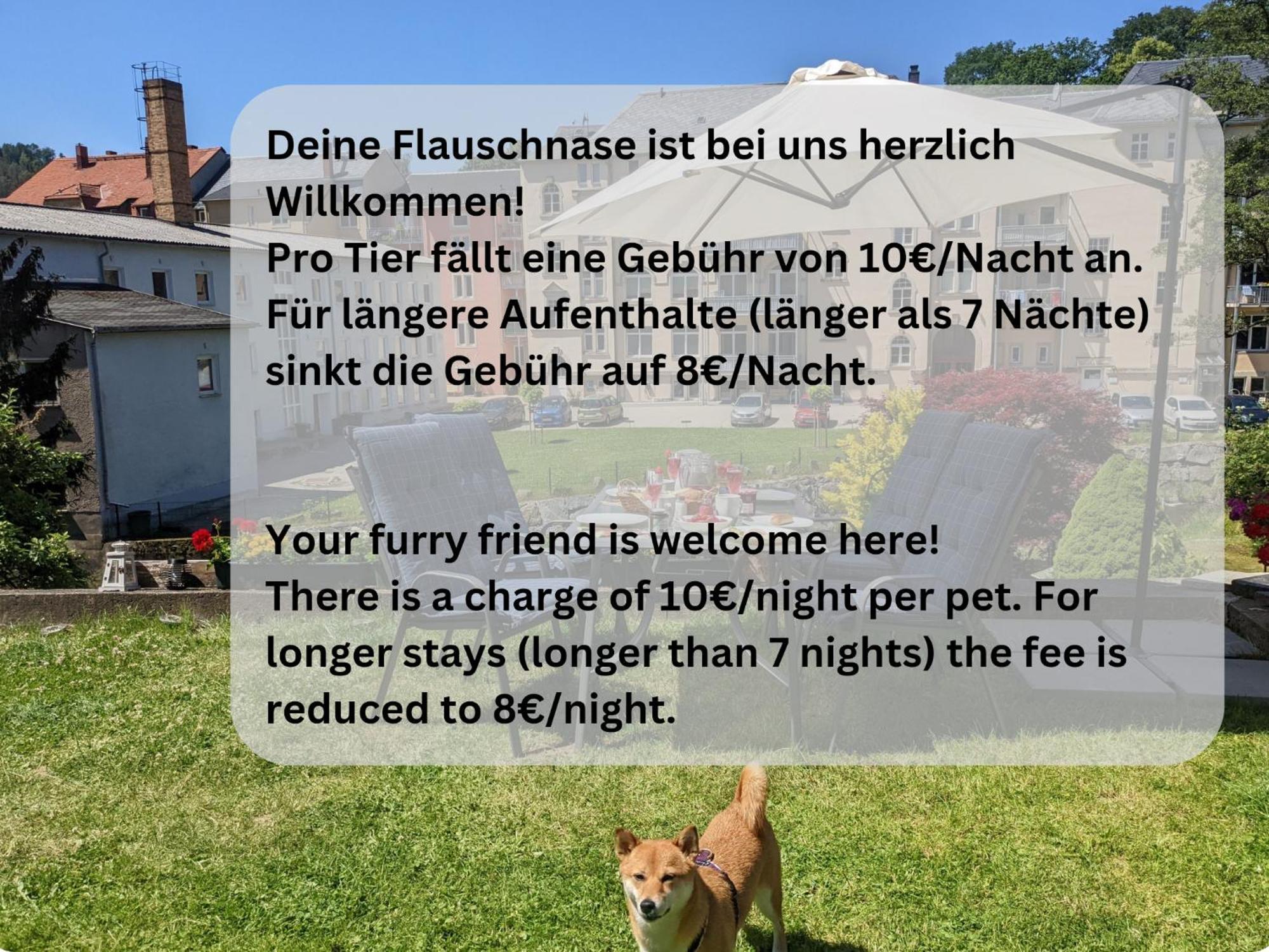 Zi1 - Urlaubsmagie - Erholung Mit Whirlpool & Sauna Sebnitz Esterno foto